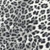 texnoderma