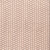 texnoderma