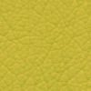 texnoderma