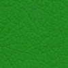 texnoderma