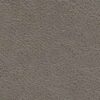 derma-epiplon-grey