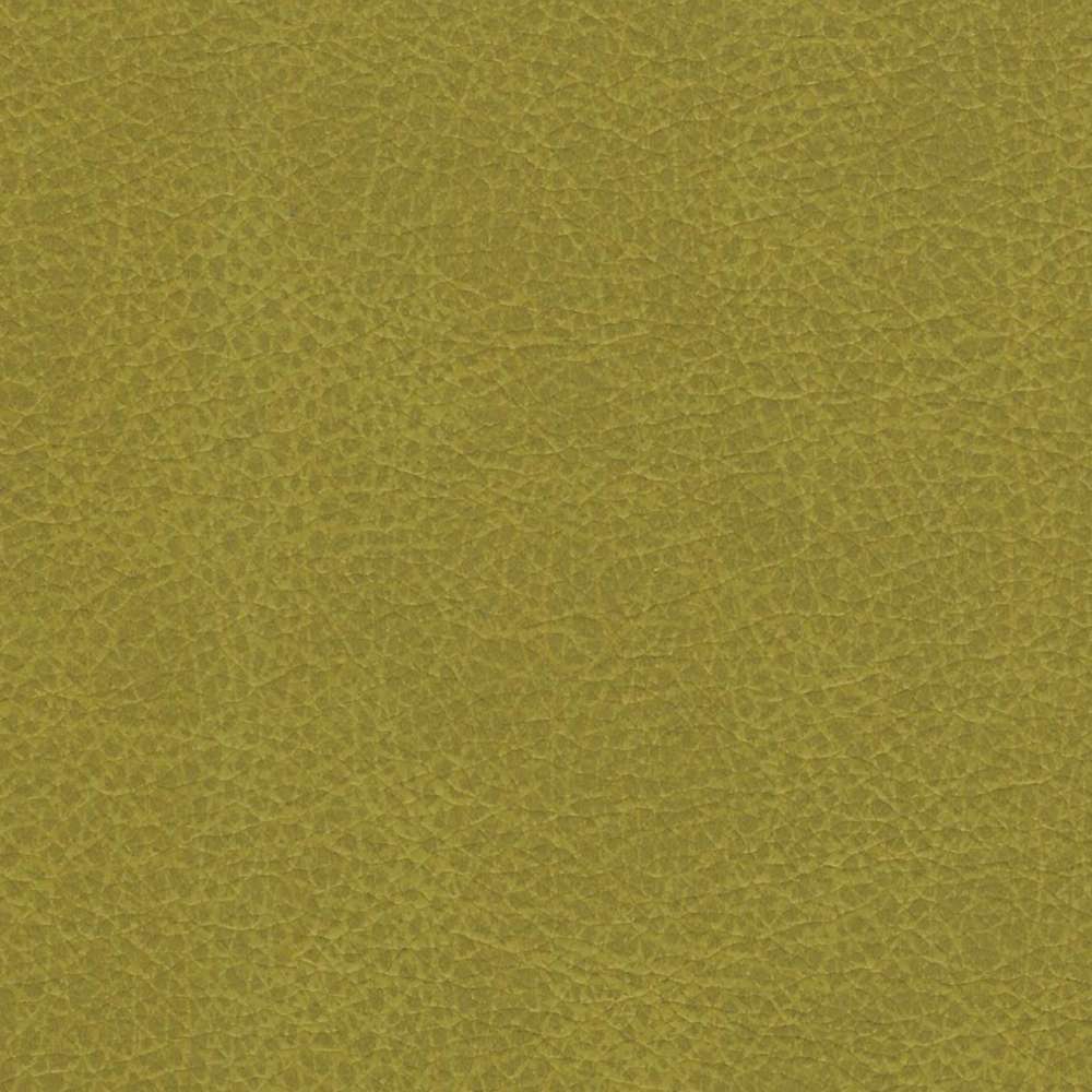 texnoderma