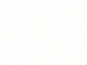 8755