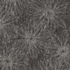 texnoderma