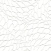 texnoderma