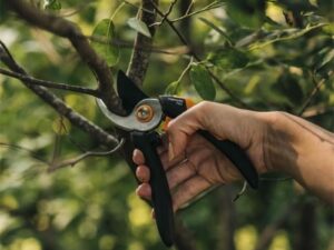 Ψαλίδι Κλαδέματος Fiskars Solid Pruning Shears Μ P321 20,1cm 1057162