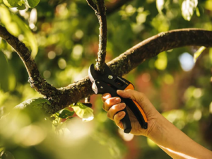 Ψαλίδι Κλαδέματος Fiskars Plus PowerStep Pruning Shears Anvil Model P83 19cm 1000575