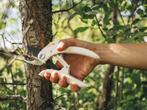 Ψαλίδι Κλαδέματος Fiskars Pruning Shears Bypass Cutting P57 23cm 1026916